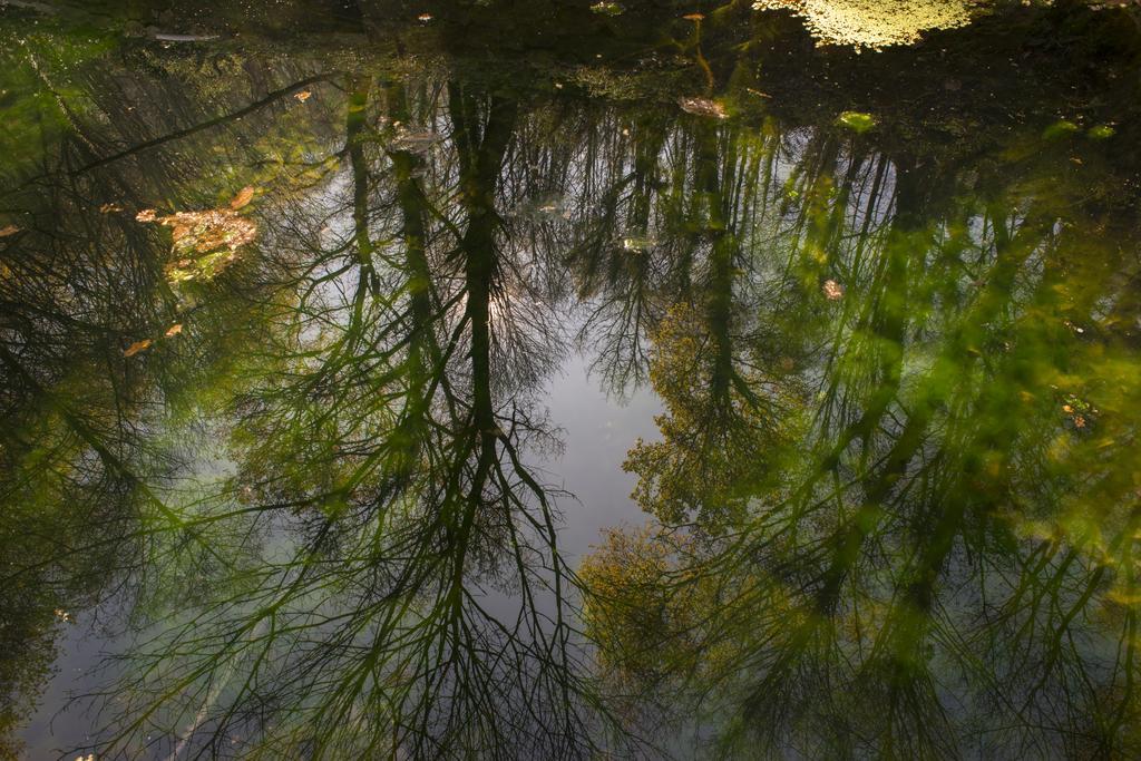 Quinta Do Fontelo Villa Vouzela Luaran gambar