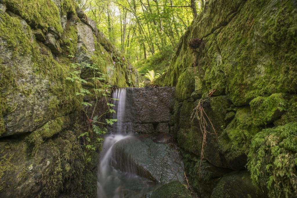 Quinta Do Fontelo Villa Vouzela Luaran gambar