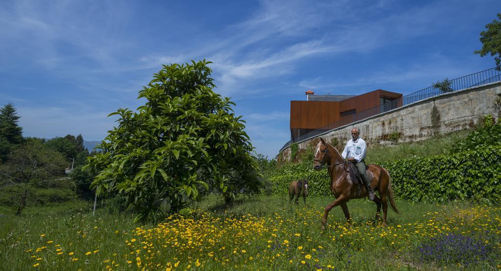 Quinta Do Fontelo Villa Vouzela Luaran gambar