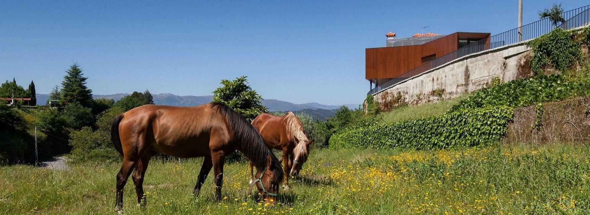 Quinta Do Fontelo Villa Vouzela Luaran gambar